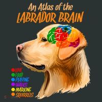 Atlas of The Labrador Retriever Brain T-Shirt thumb 7