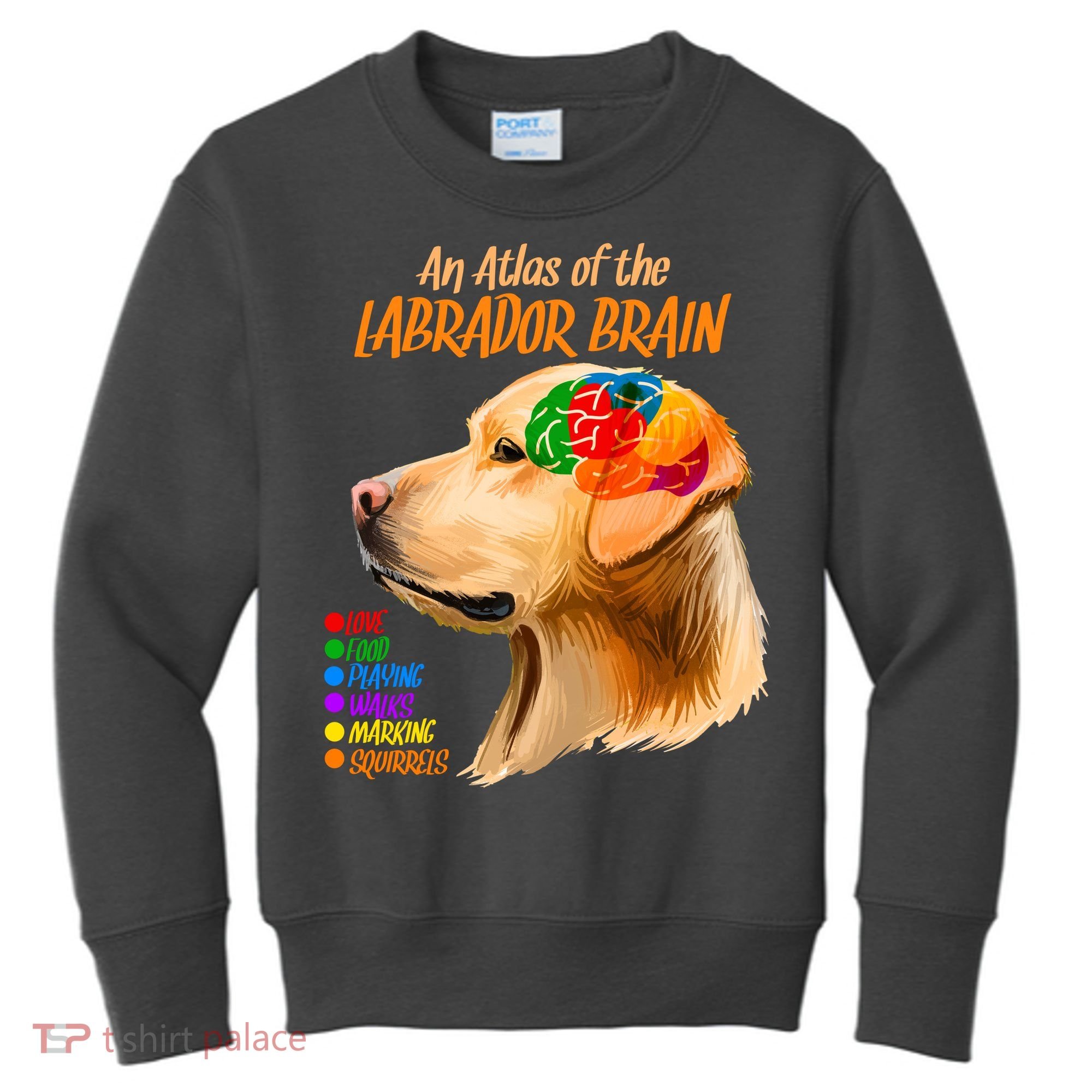 Atlas of The Labrador Retriever Brain Kids Sweatshirt