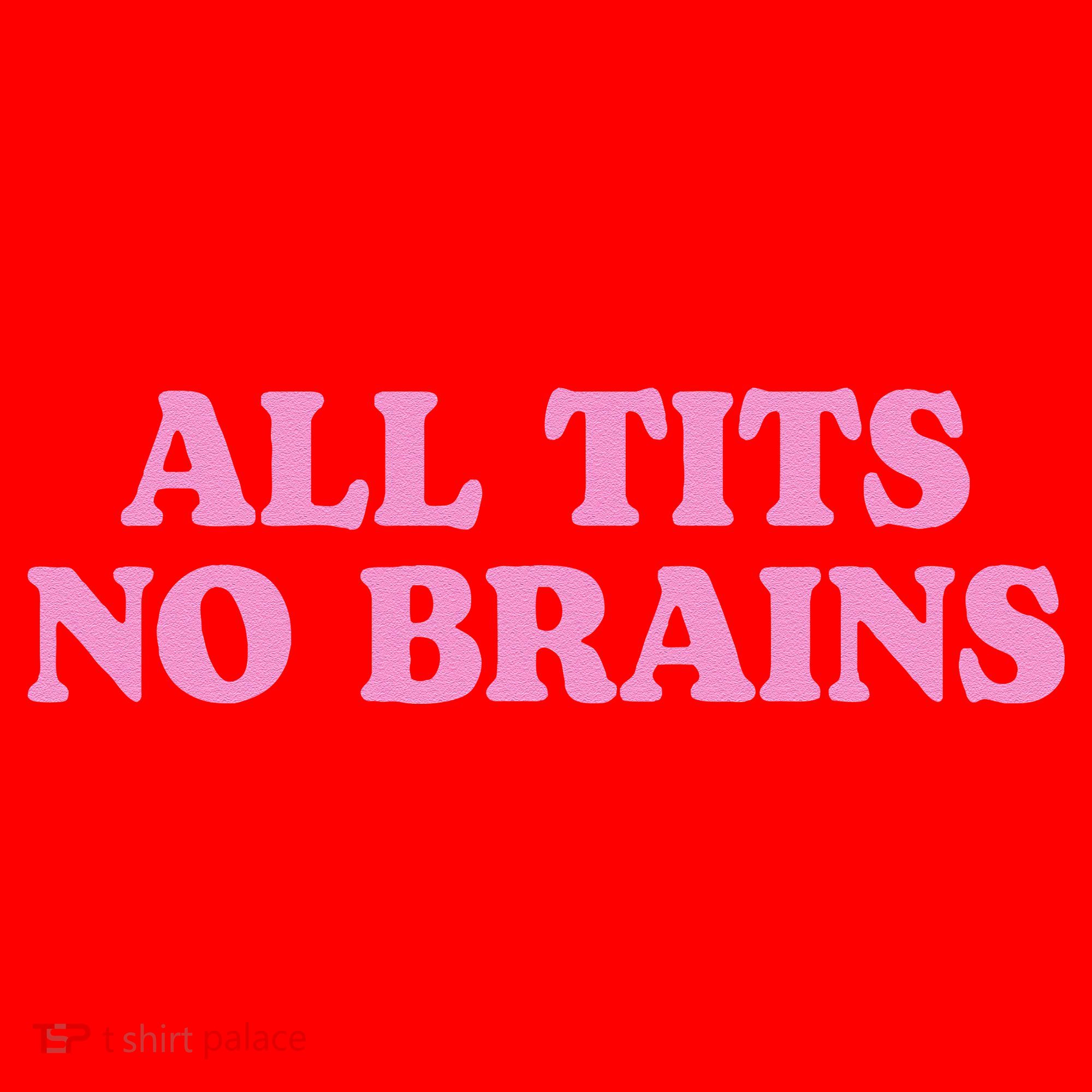 All Tits No Brains Funny Sarcastic Saying Santa Hat