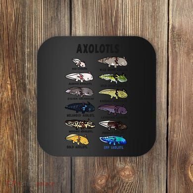 Axolotl Types Names List Coaster