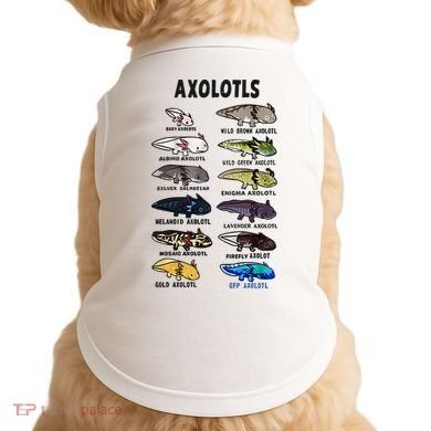 Axolotl Types Names List Doggie Tank