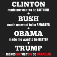 Anti Trump Political For Independents And Liberals Beanie thumb 2