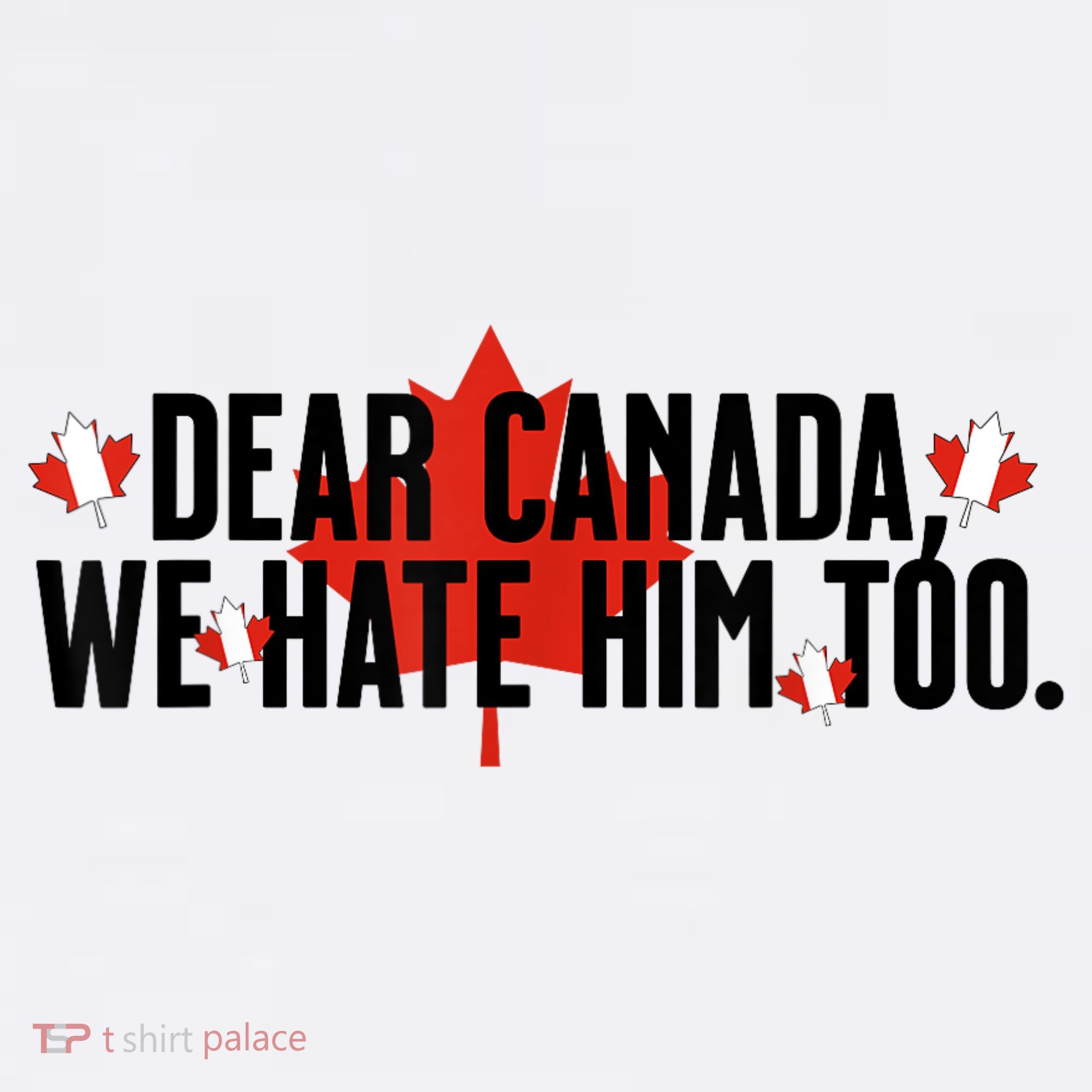 Anti Trump Retro Vintage Apparel Tees Dear Canada We Hate Him Too Anti Trump Political Protest T-Shirt