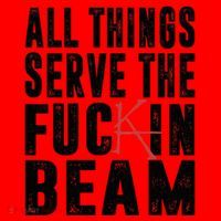 All Things Serve The Fuckin Beam Santa Hat thumb 1