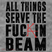 All Things Serve The Fuckin Beam Toddler Hoodie thumb 2
