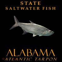 Alabama Territory Saltwater Fish Atlantic Tarpon Coffee Mug thumb 5