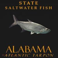 Alabama Territory Saltwater Fish Atlantic Tarpon Baby Bodysuit thumb 2