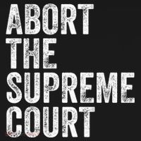 ABORT THE SUPREME COURT Hoodie thumb 7