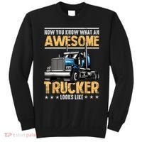 Awesome Trucker Semi Truck Driver 18 Wheeler Mechanic Funny Sweatshirt thumb 0