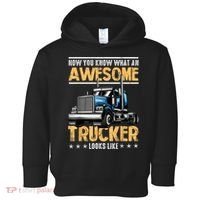Awesome Trucker Semi Truck Driver 18 Wheeler Mechanic Funny Toddler Hoodie thumb 0
