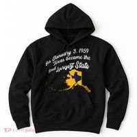 Alaska Texas Shirts Funny Alaska Vs Texas Hoodie thumb 0