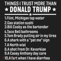 Anti Trump Sarcastic Political Humor Resistance Statement Hat thumb 2