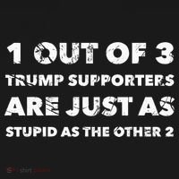 Anti Trump Trump Supporters Are Just Stupid Toddler Hoodie thumb 2