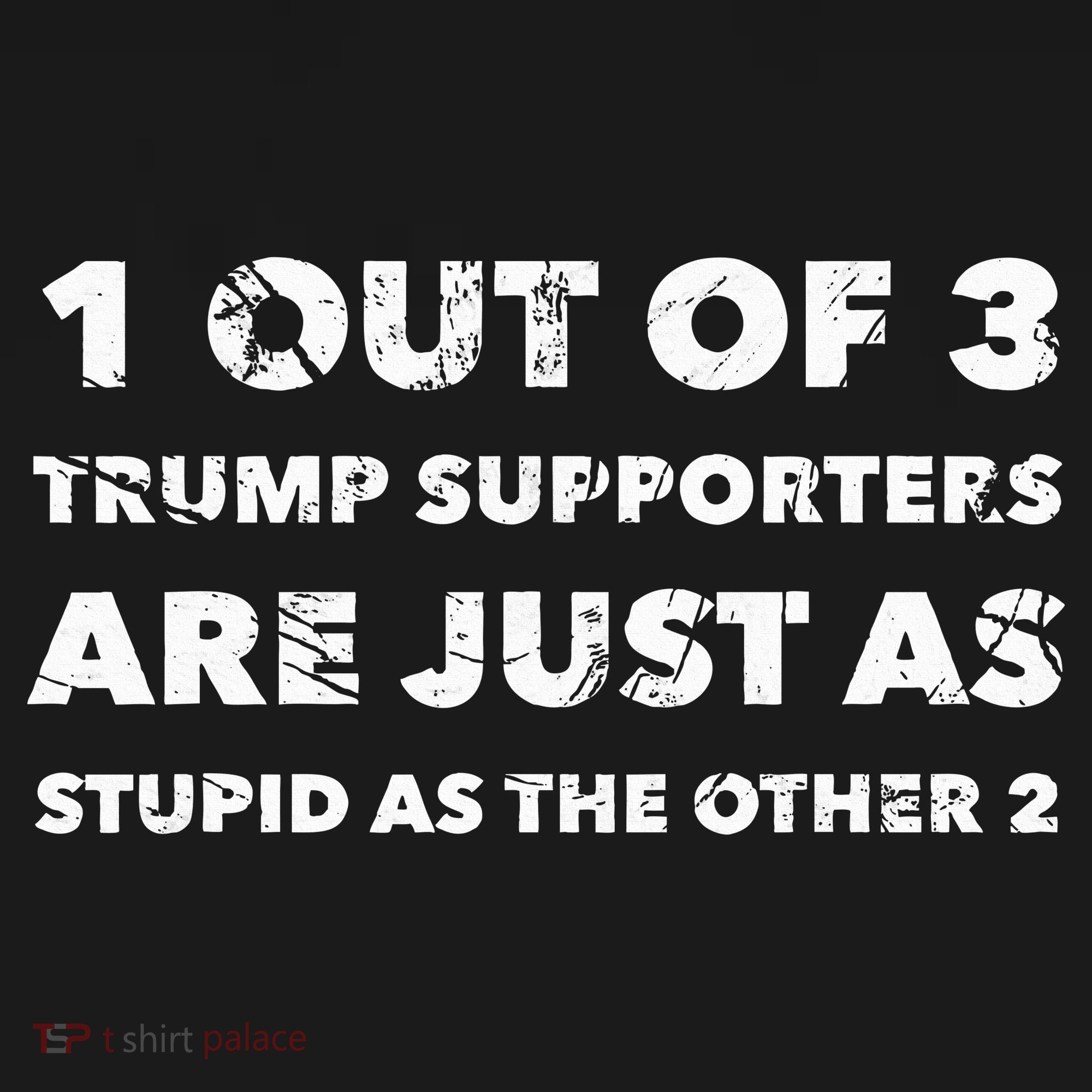 Anti Trump Trump Supporters Are Just Stupid Toddler Hoodie