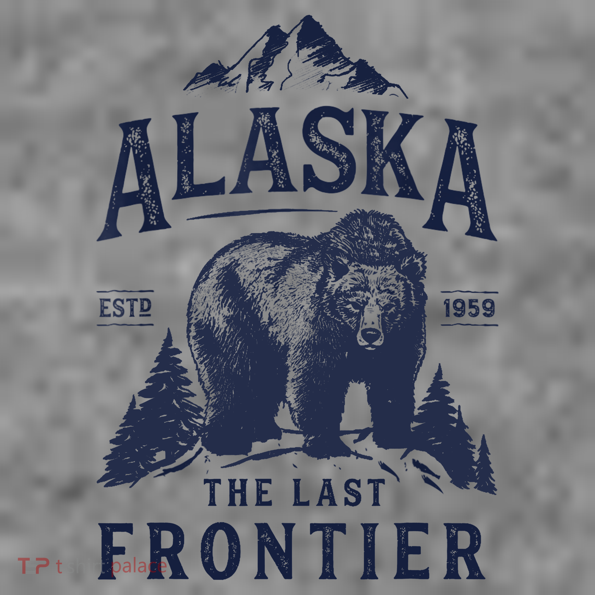 Alaska T The Last Frontier Bear Home Gifts Toddler Hoodie
