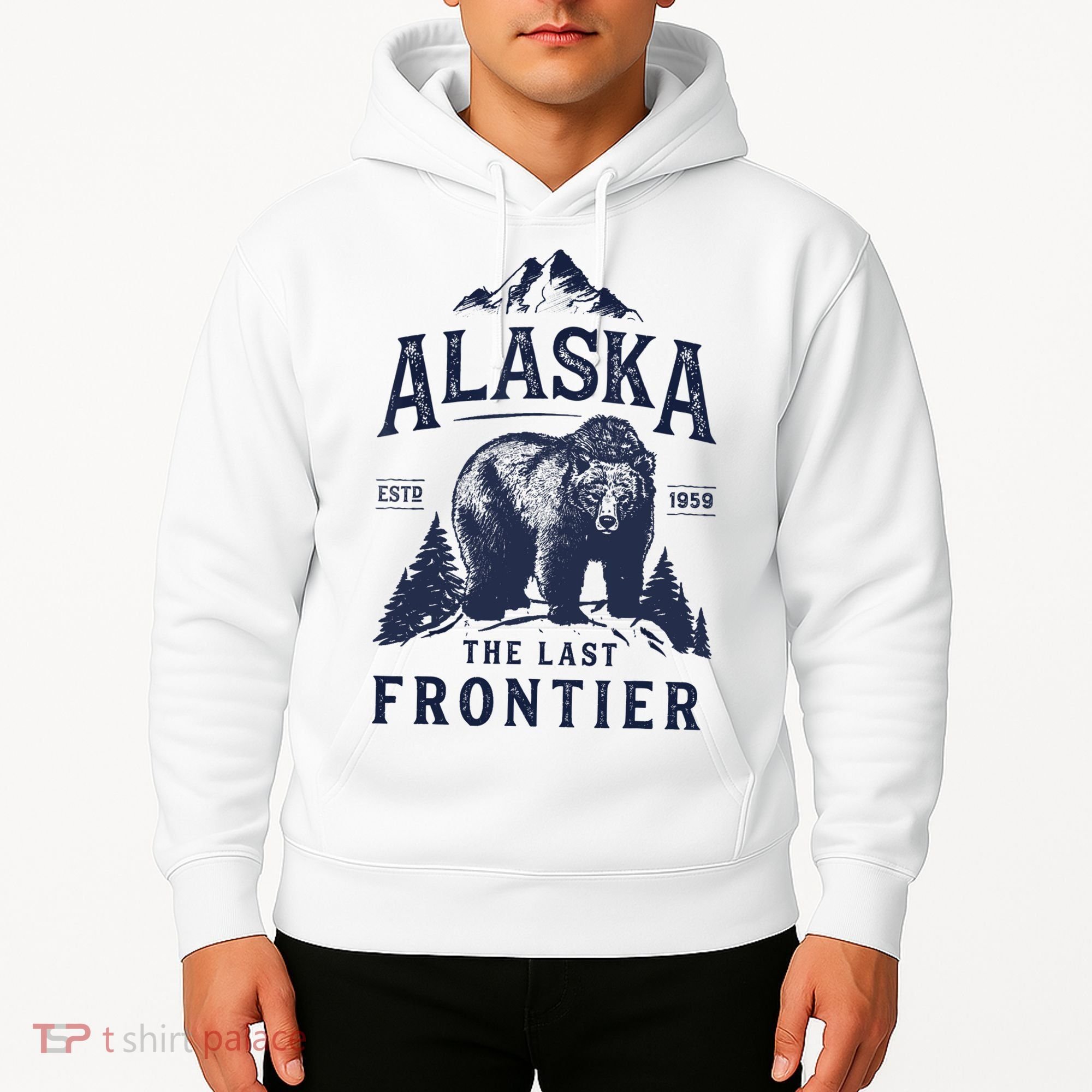 Alaska T The Last Frontier Bear Home Gifts Hoodie