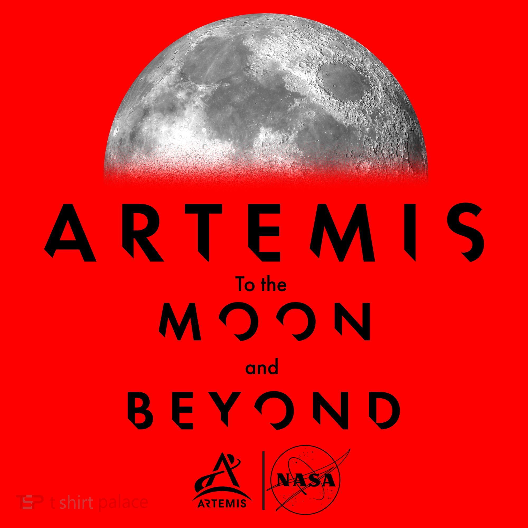 Artemis To The Moon And Beyond Santa Hat