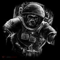 Ape To The Moon Bucket Hat thumb 4