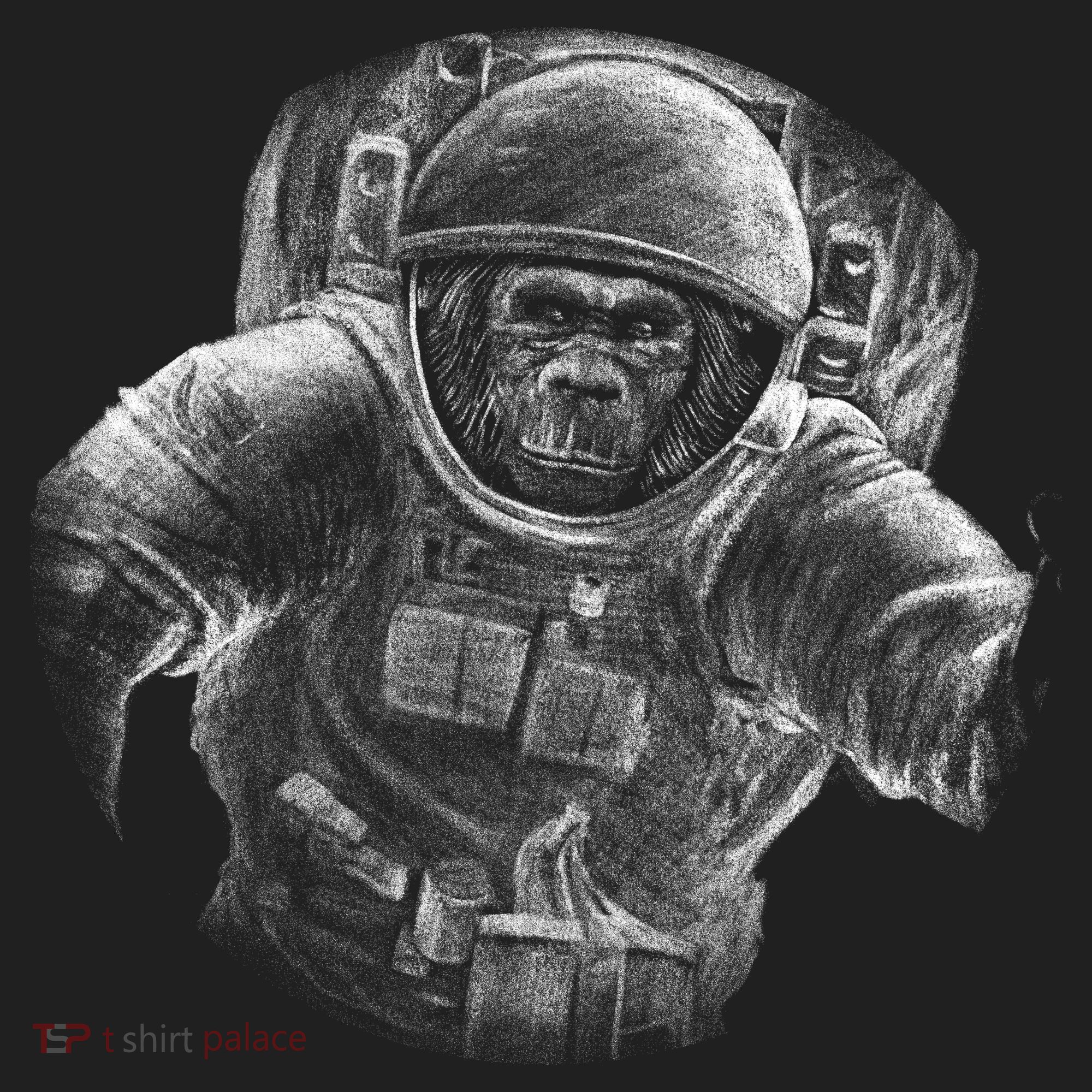Ape To The Moon Hat