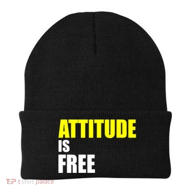 Attitude Is Free Beanie