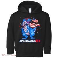 Amerisaurus Trex USA Flag Funny 4th Of July Dinosaur Toddler Hoodie thumb 0