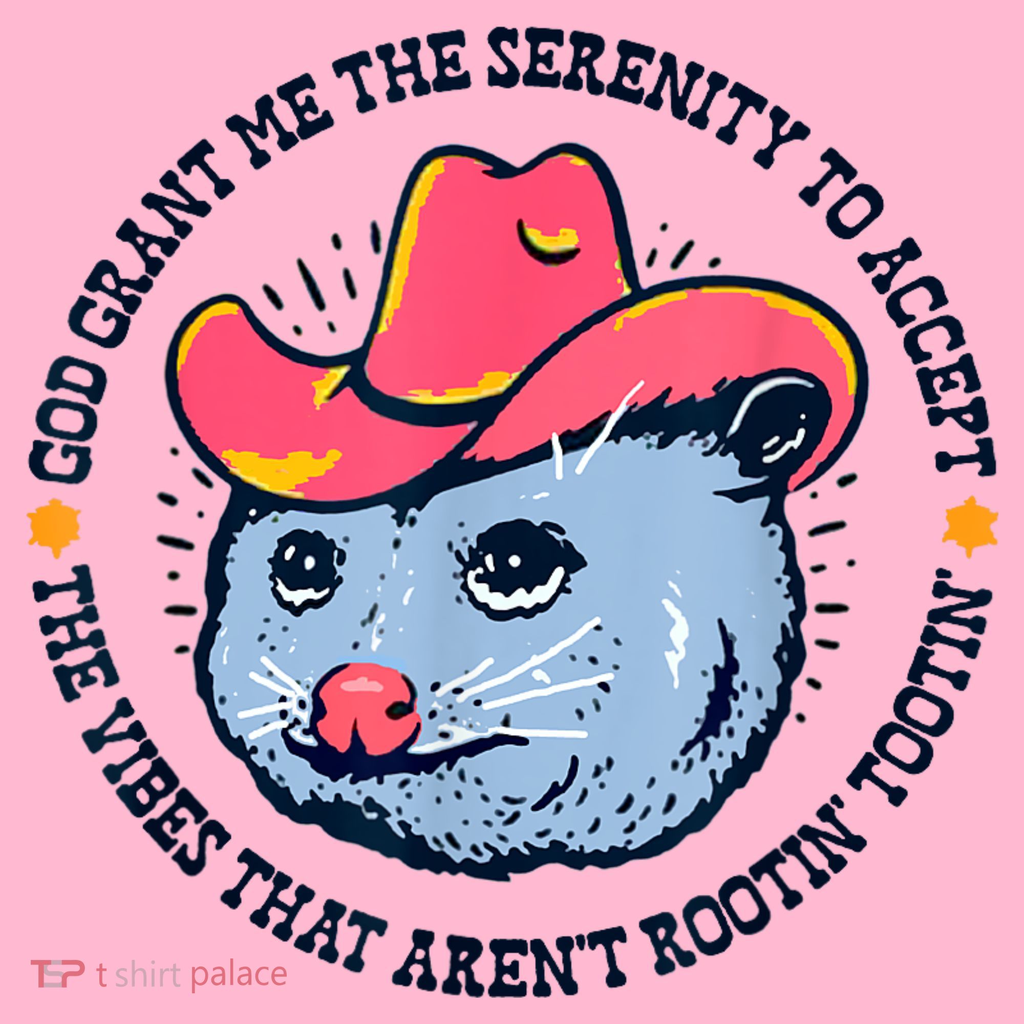 Accept The Vibes That Arent Rootin Tootin Funny Opossum Coaster