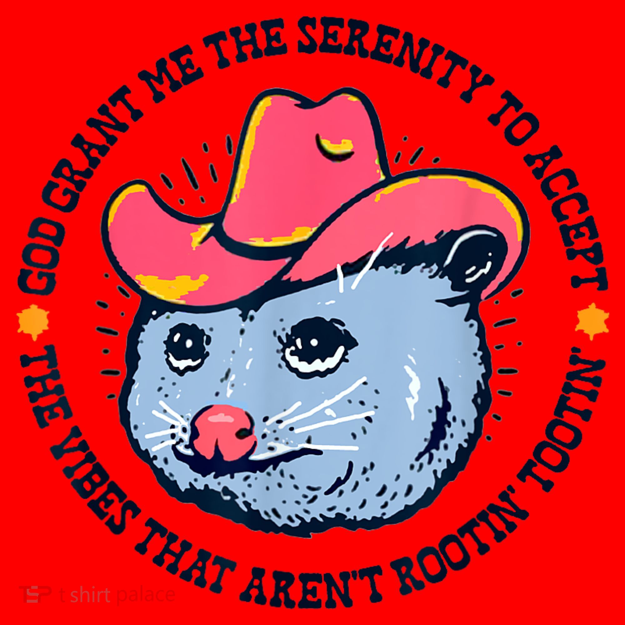 Accept The Vibes That Arent Rootin Tootin Funny Opossum Santa Hat
