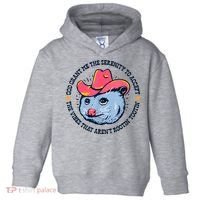 Accept The Vibes That Arent Rootin Tootin Funny Opossum Toddler Hoodie thumb 0