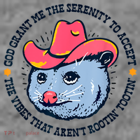 Accept The Vibes That Arent Rootin Tootin Funny Opossum Toddler Hoodie thumb 2