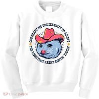 Accept The Vibes That Arent Rootin Tootin Funny Opossum Kids Sweatshirt thumb 0