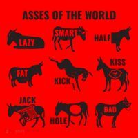 Asses The World Funny Lazy Smart Half Fat Kick Kick Donkey Santa Hat thumb 1