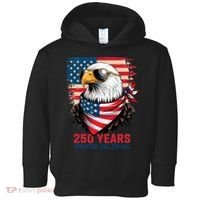 America USA 250 Years Quarter Millennial Eagle Toddler Hoodie thumb 0