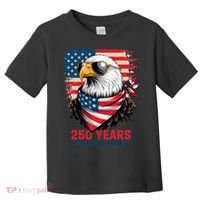 America USA 250 Years Quarter Millennial Eagle Toddler T-Shirt thumb 0