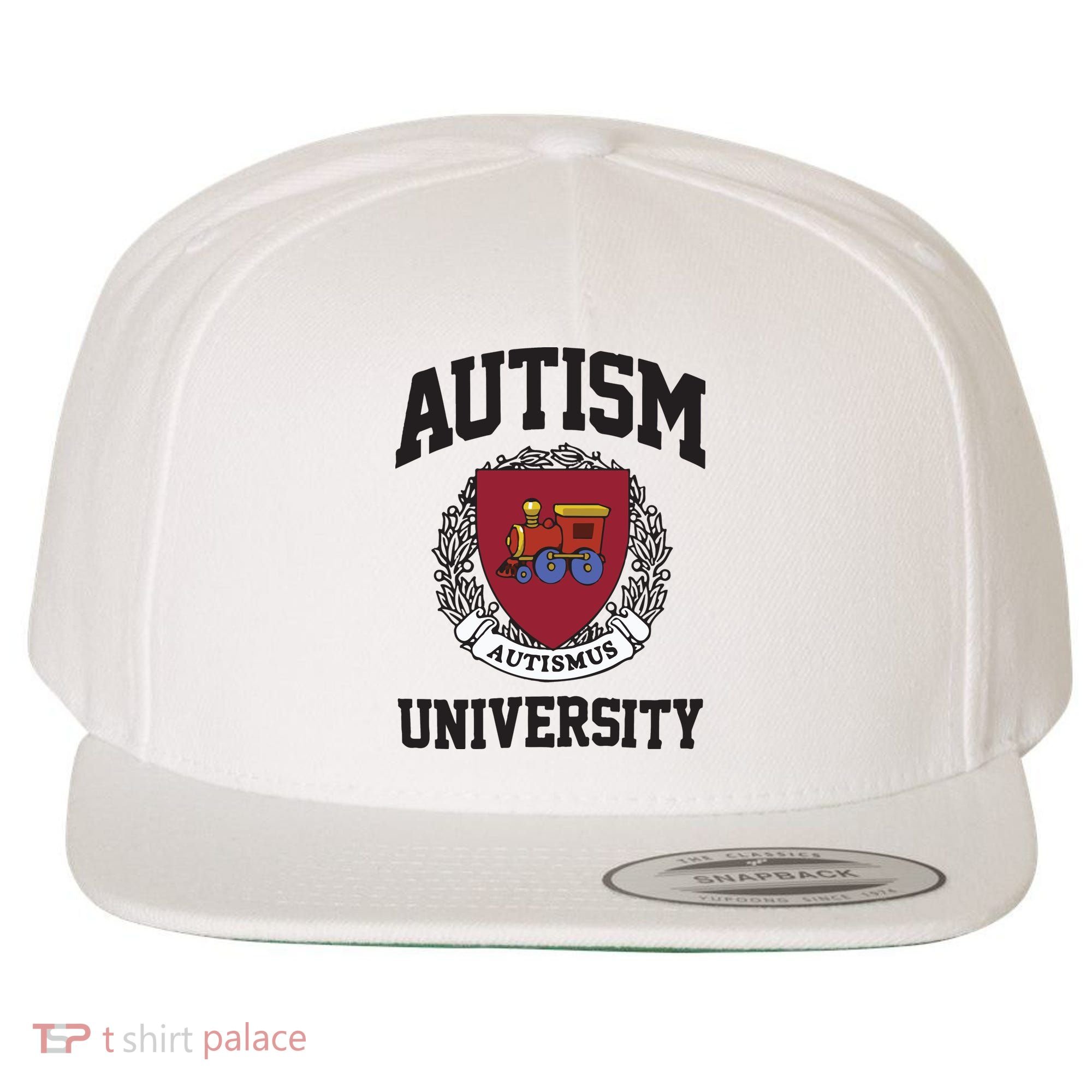 Autism University Autismus Wool Snapback Cap