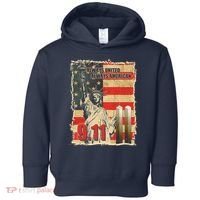 Always United Always American September 11 Memorial Toddler Hoodie thumb 0