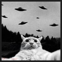 Alien UFO Funny Cat Selfie Beanie thumb 2