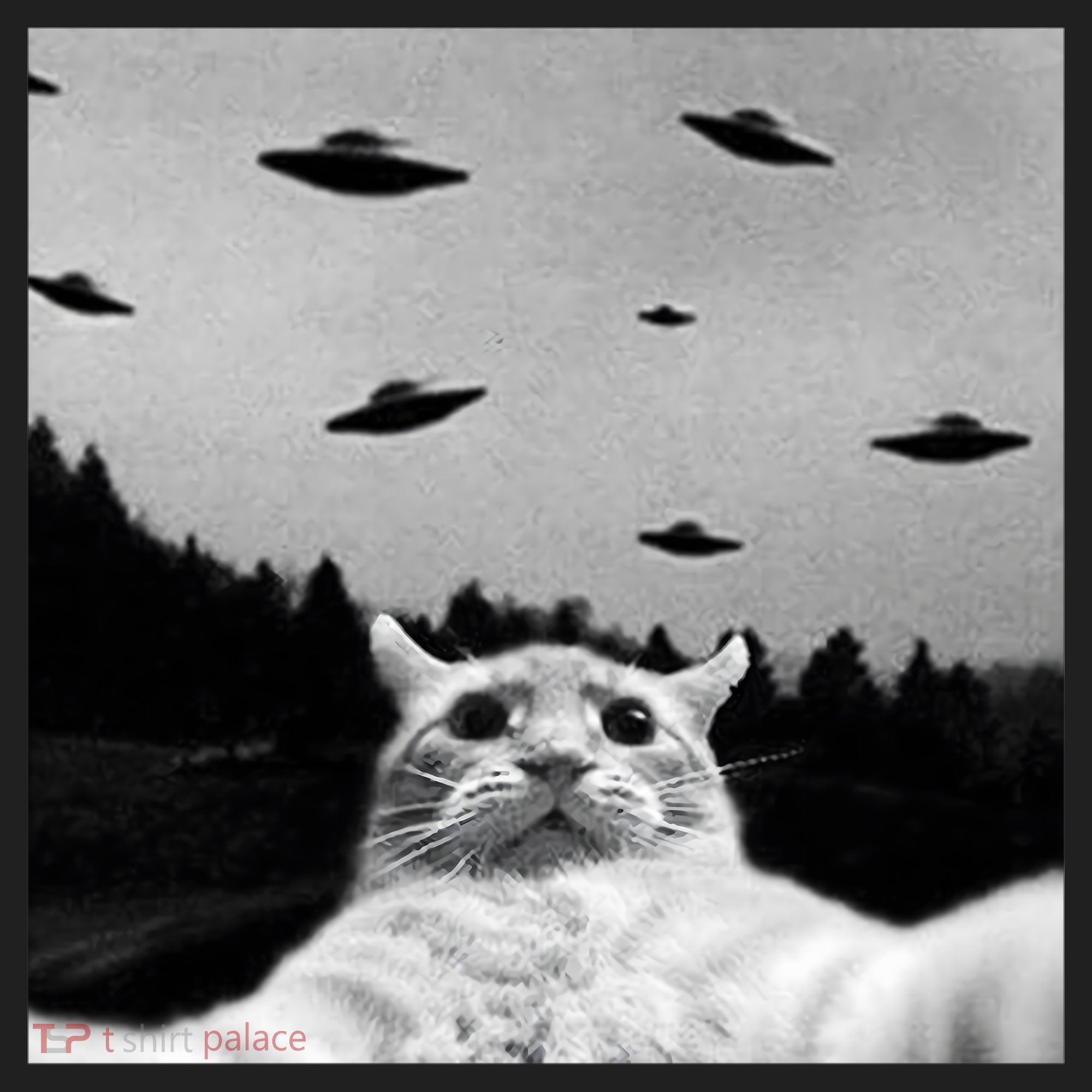 Alien UFO Funny Cat Selfie Beanie