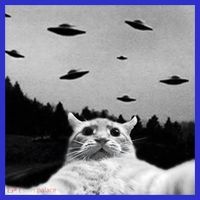 Alien UFO Funny Cat Selfie Women's T-Shirt thumb 6
