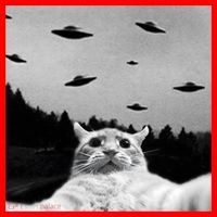 Alien UFO Funny Cat Selfie Santa Hat thumb 1
