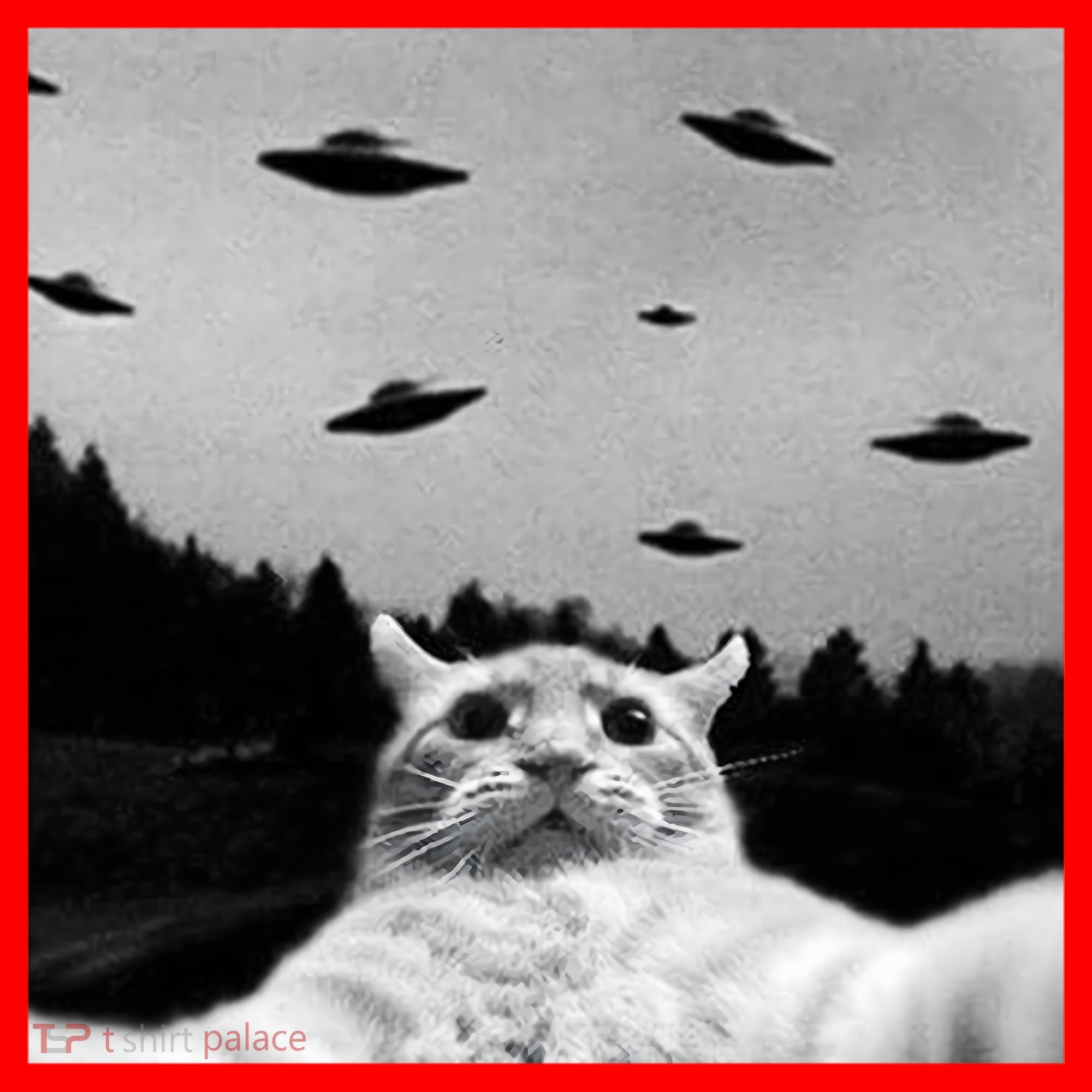 Alien UFO Funny Cat Selfie Santa Hat