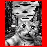 Alien UFO Funny Cat Selfie Santa Hat thumb 1