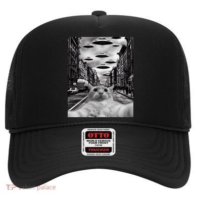 Alien UFO Funny Cat Selfie Hat