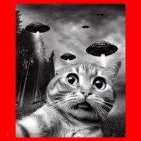 Alien UFO Funny Cat Selfie Santa Hat thumb 1