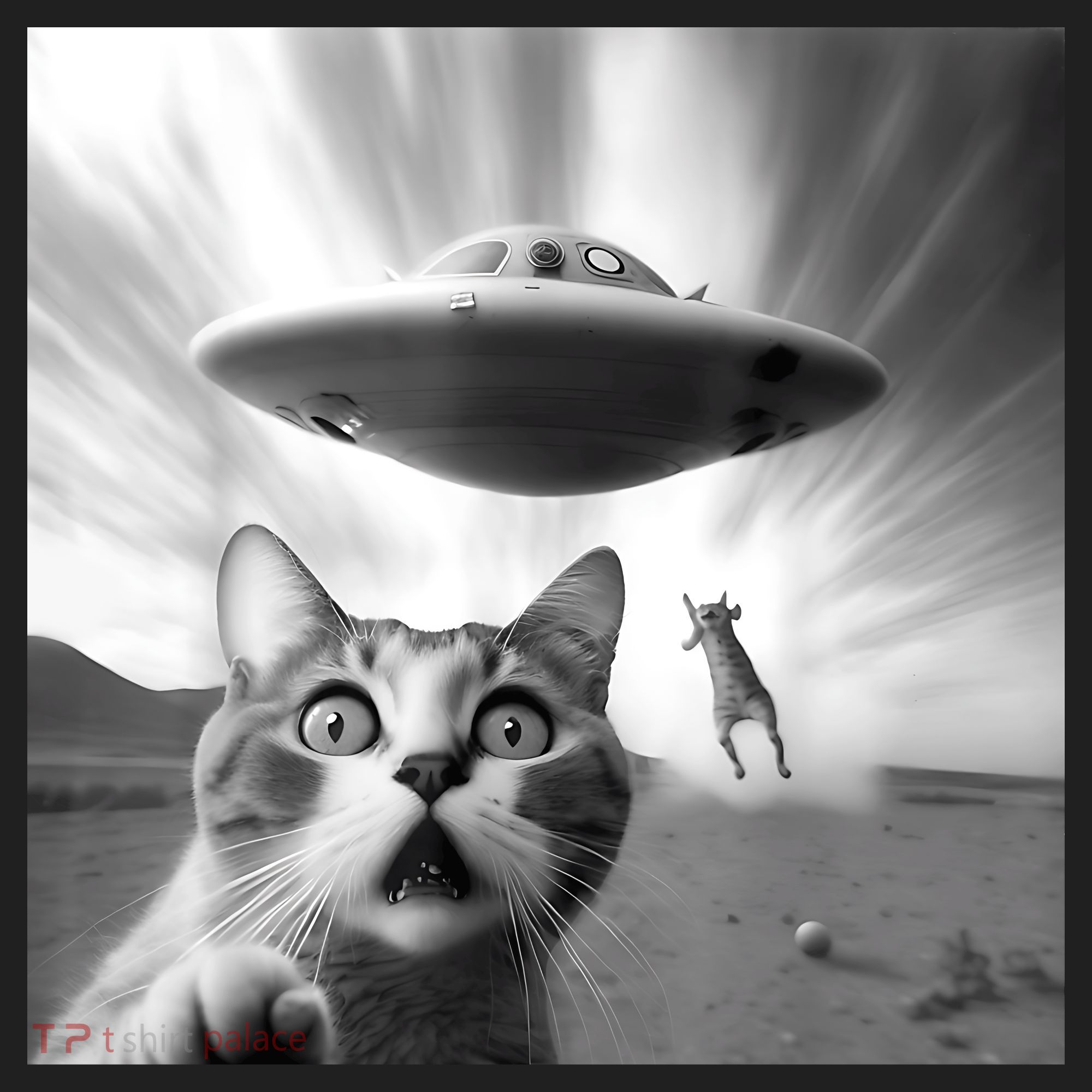 Alien UFO Funny Cat Selfie Hat