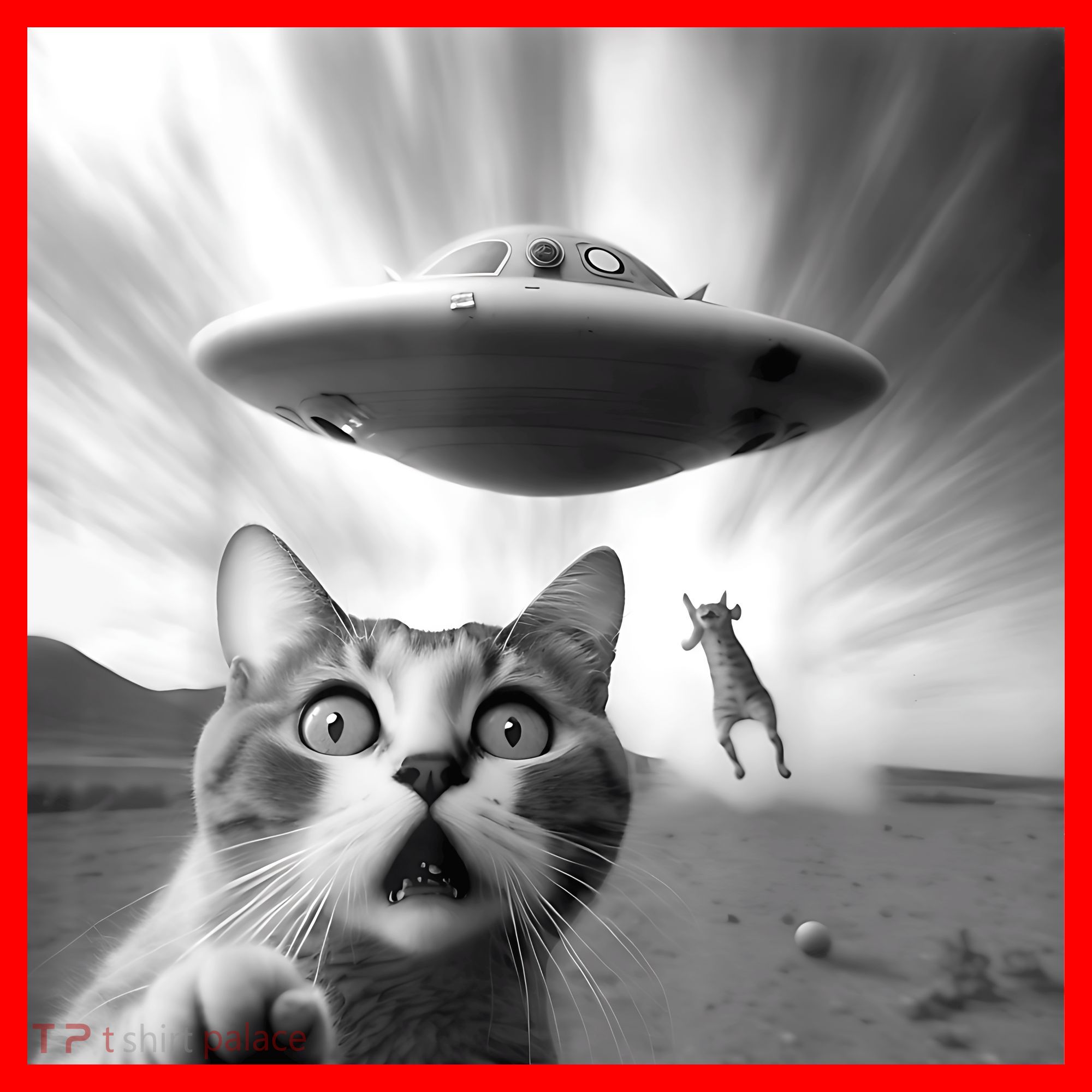 Alien UFO Funny Cat Selfie Santa Hat