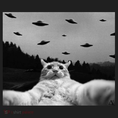 Alien UFO Funny Cat Ladies Heavyweight Boxy Pullover Hoodie