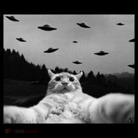Alien UFO Funny Cat Ornament thumb 1