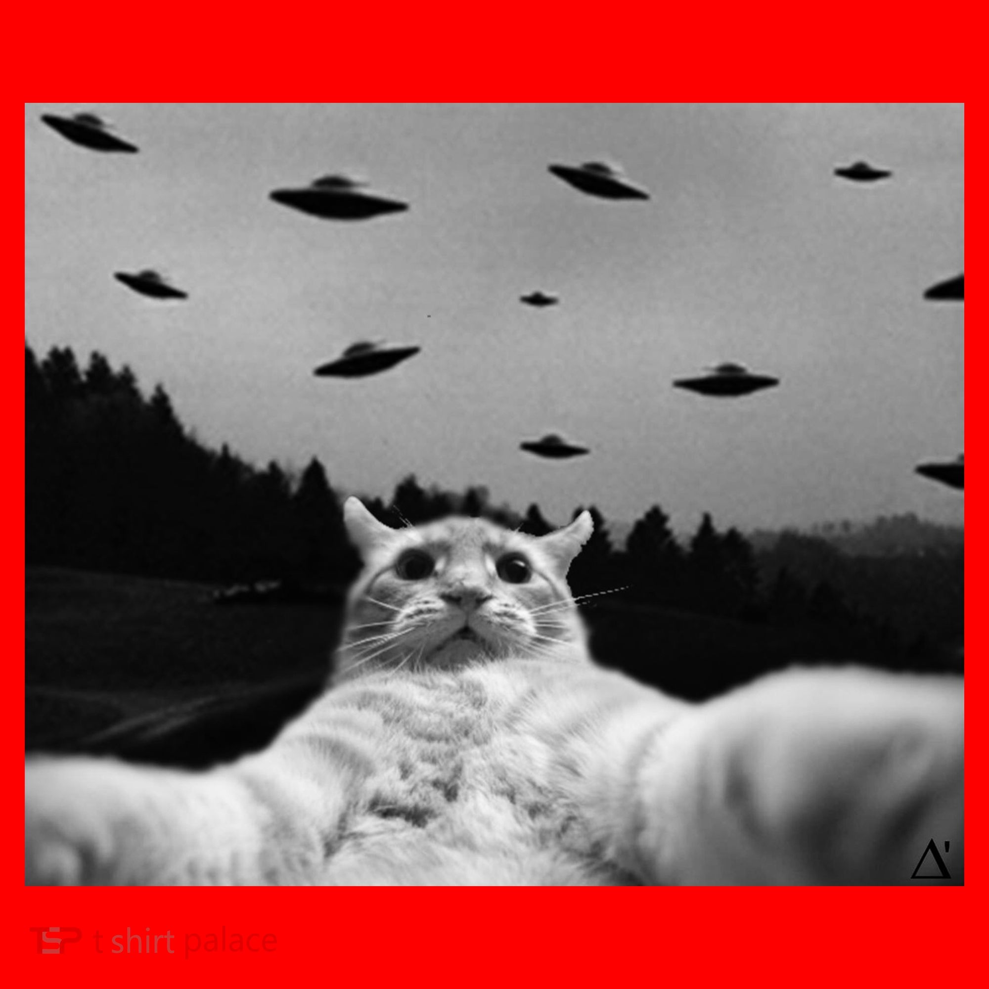 Alien UFO Funny Cat Santa Hat