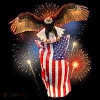America USA Flag Eagle Fireworks Toddler Hoodie thumb 2