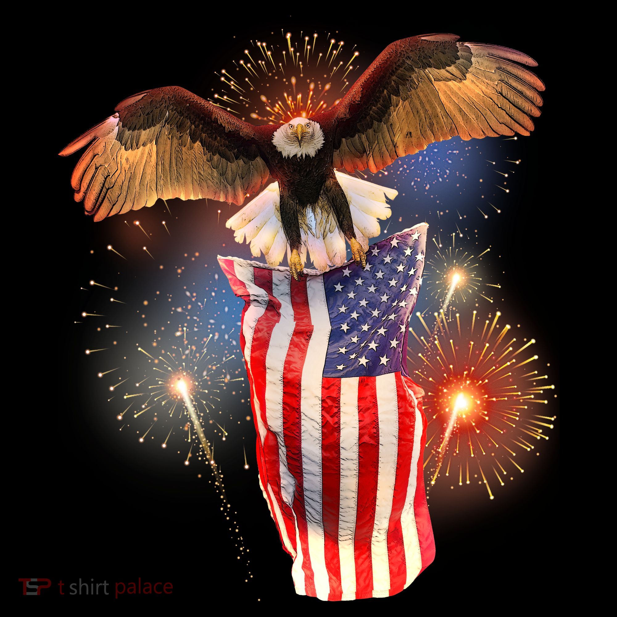 America USA Flag Eagle Fireworks Toddler Hoodie